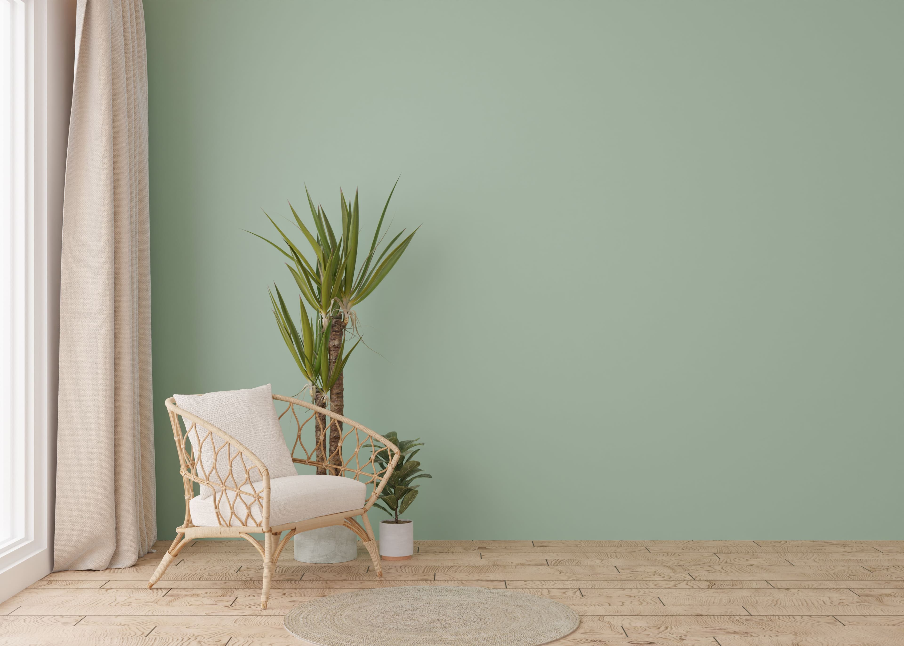 A tranquil living room with a rattan armchair, yucca plant and sage-green wall, the kind of NZ home an electrician walks through on an in-person site visit.