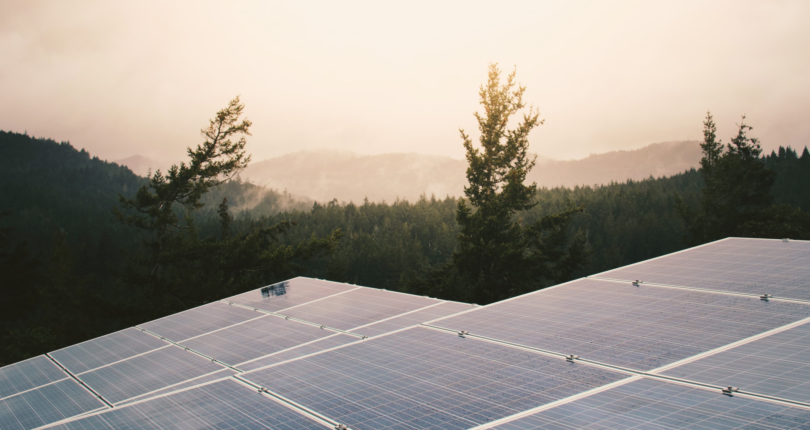 Solar panels overlooking a forested mountain valley at dawn