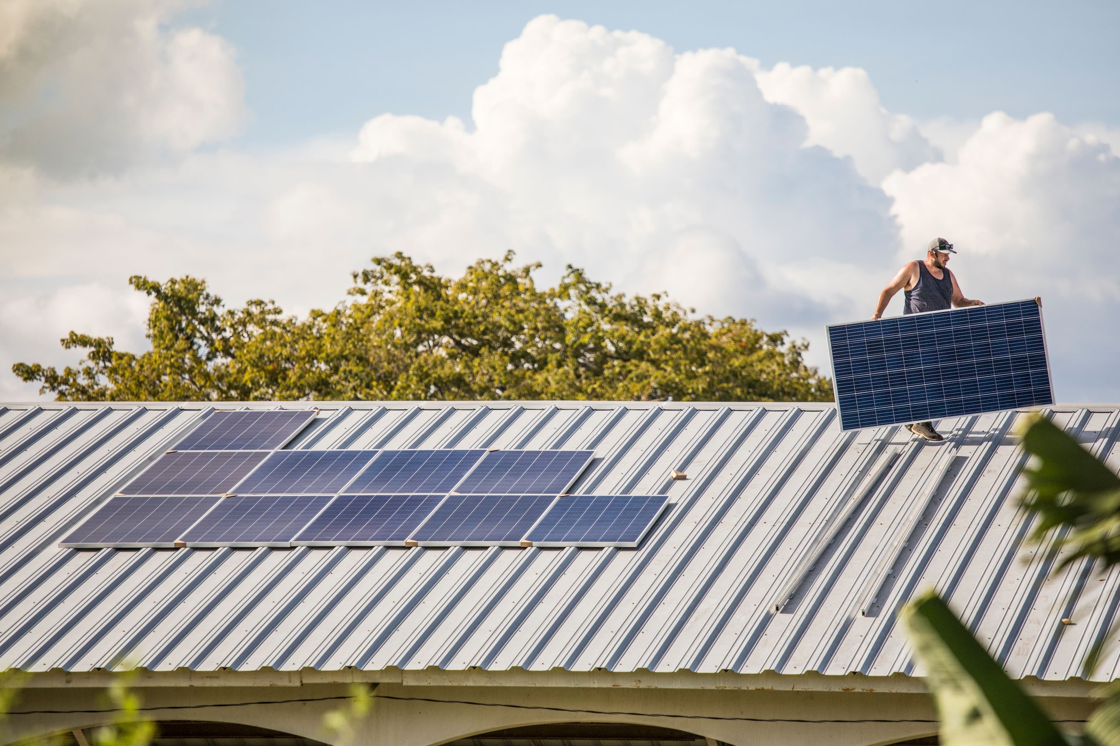 Solar panels mounted across a residential roof in golden afternoon light.